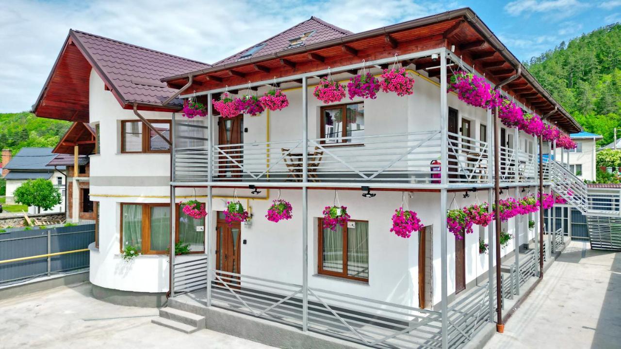 Vaias Aparts Târgu Neamţ Exterior foto