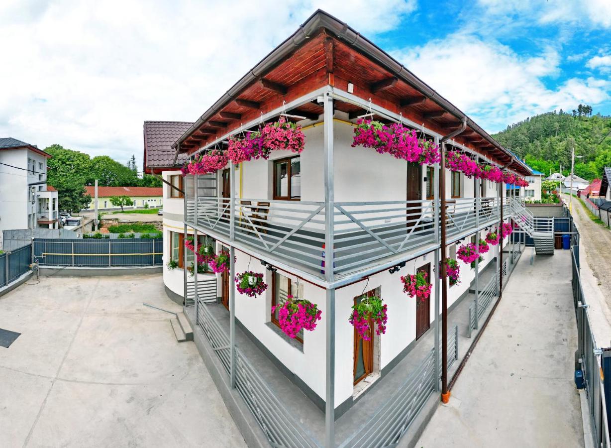 Vaias Aparts Târgu Neamţ Exterior foto