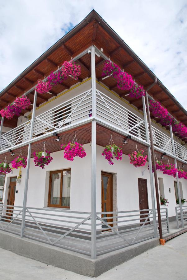 Vaias Aparts Târgu Neamţ Exterior foto
