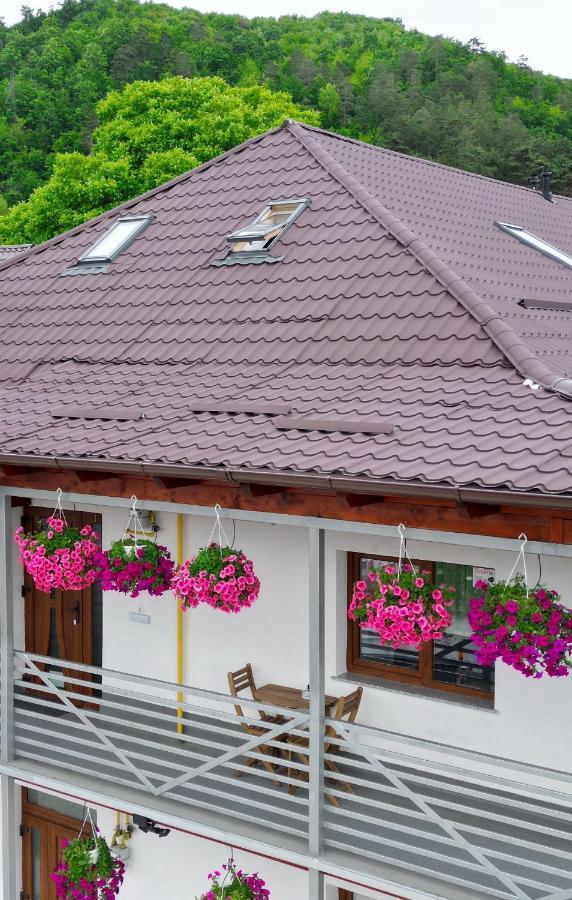 Vaias Aparts Târgu Neamţ Exterior foto